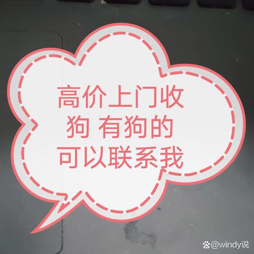 女王收狗的联系方式和联系电话截图