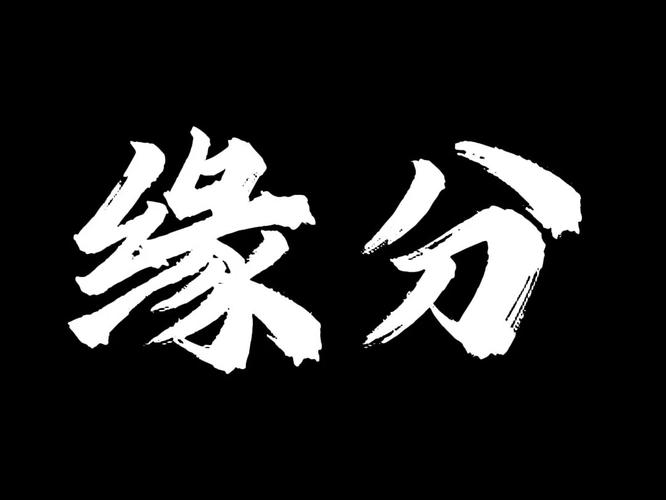缘分吧安装截图