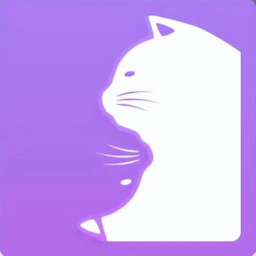 密聊猫app官网入口截图
