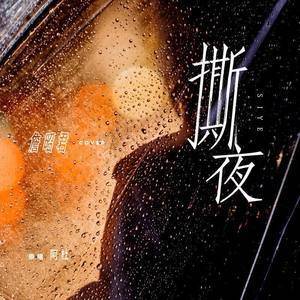 撕夜mp3歌曲截图