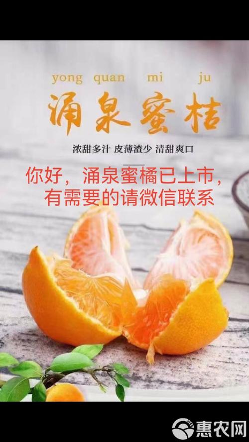 蜜桔安装官网最新版截图