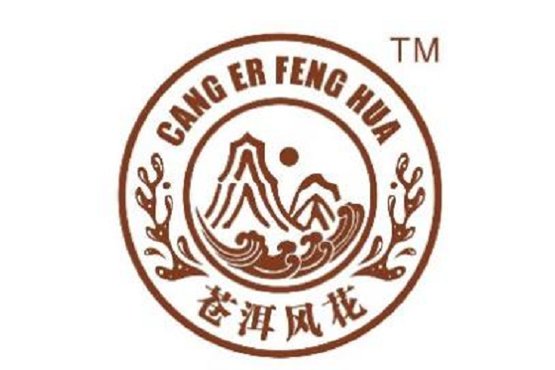 风花免费截图