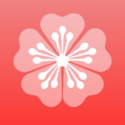 梅花视频旧版免费看