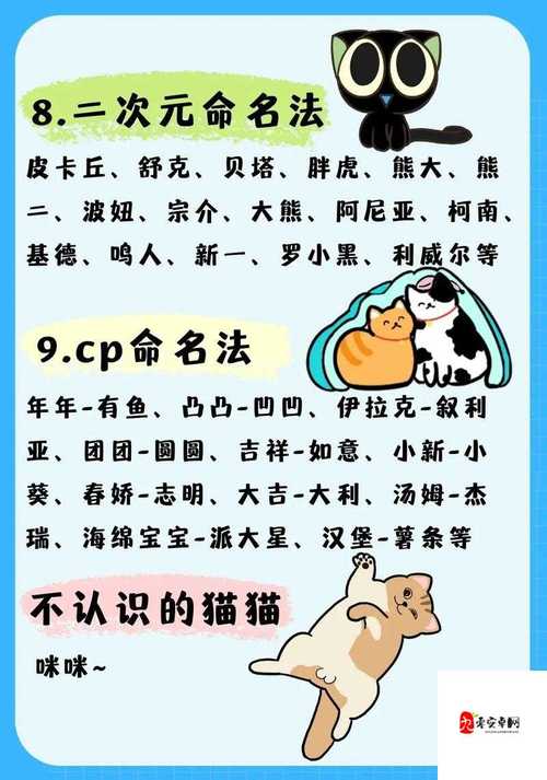 猫咪www最新地域网名怎么取海外截图