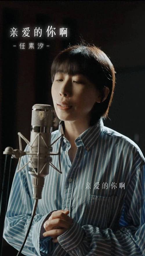亲爱的你呀任素汐mp3截图