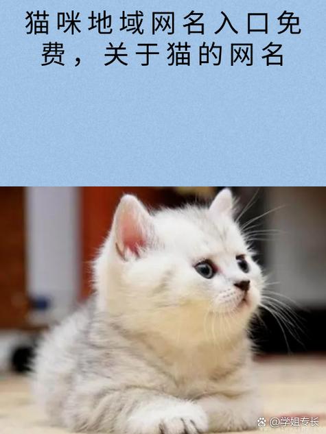 猫咪成人最新地域网名查询截图