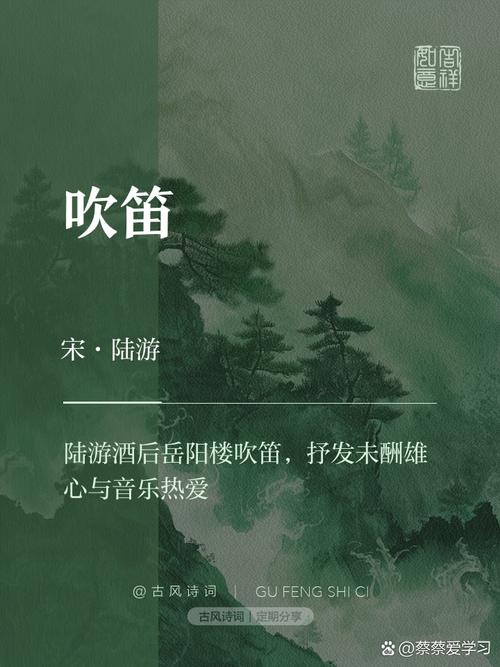 小笛视频吹出一首好诗APP截图
