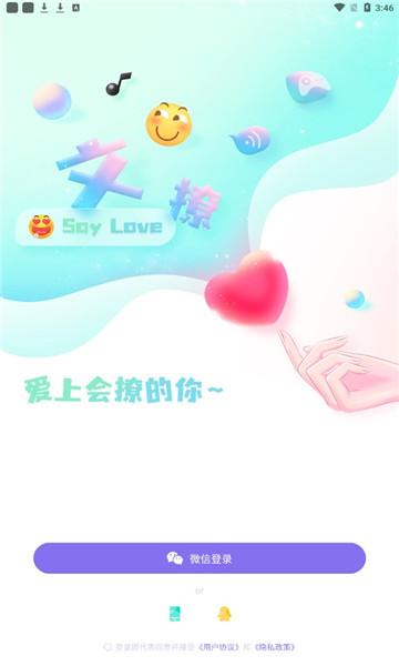 文撩官网登录截图