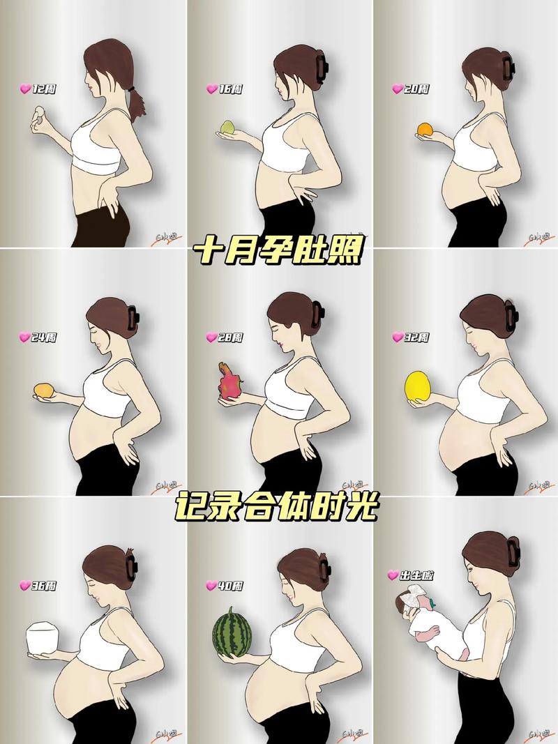 怀孕的人的肚子变化图片大全视频截图