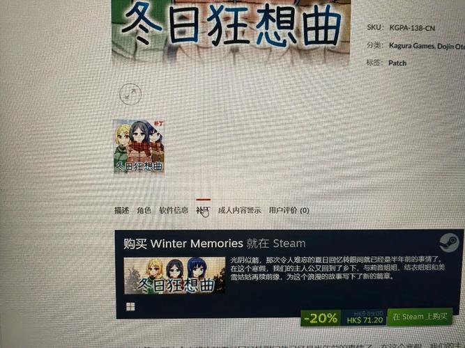 夏日狂想曲有补丁无付费版截图