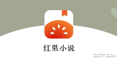 红果小说赚钱截图