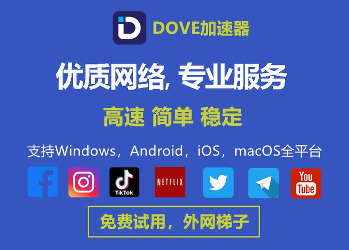 DOVE加速器截图