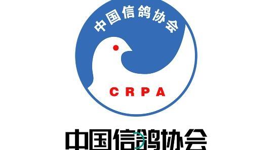 中国信鸽直播3G截图