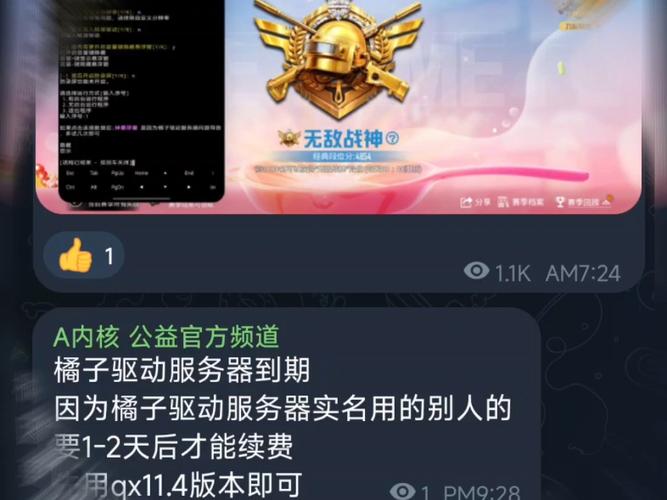 yy内核和平精英截图