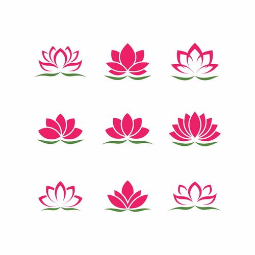荷花转截图