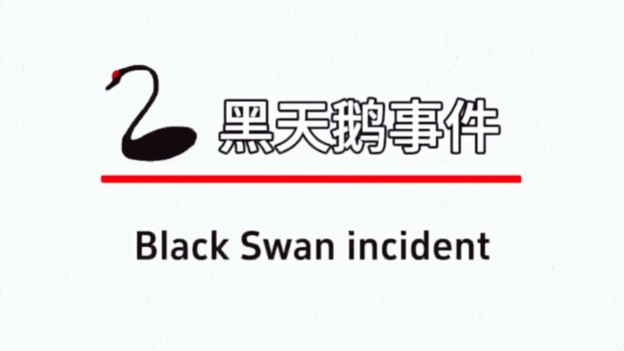 黑天鹅全国门店一览表辅助工具截图