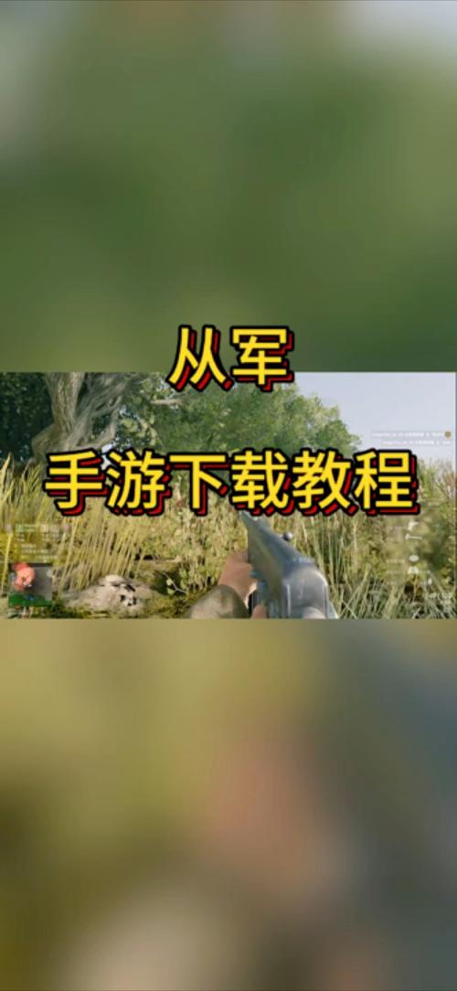 从军手机版汉化版截图