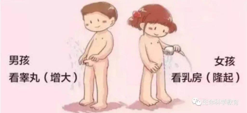 男生果女生小小鸡鸡软件截图