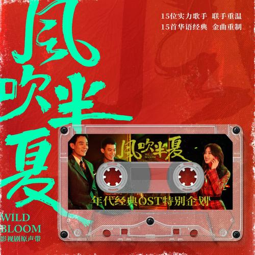 风吹半夏电视剧剧情介绍电视猫红色版截图