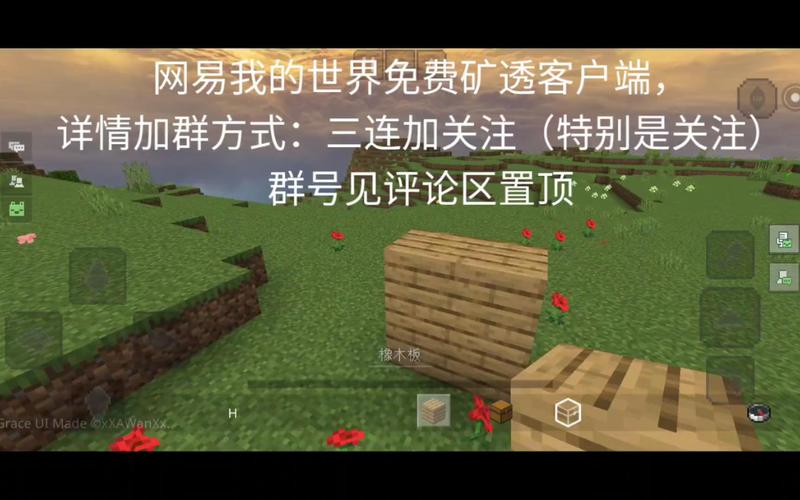 我的世界免费矿透挂安装免广告截图