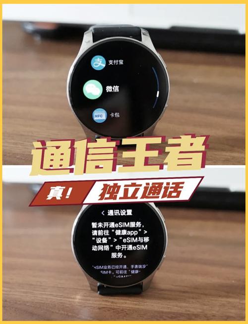 vivowatch2应用商店截图