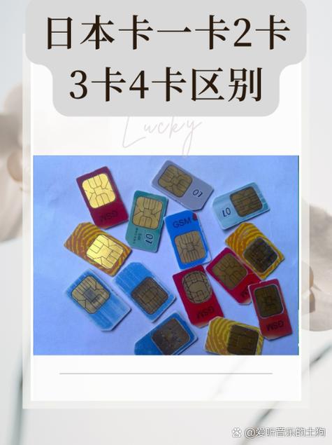 国产一卡二卡3卡4卡视频手机版截图