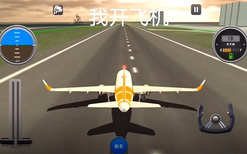 模拟飞机驾驶视频白色版无删减截图