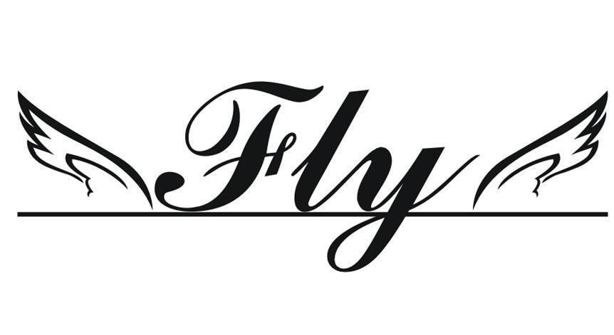 Fly截图