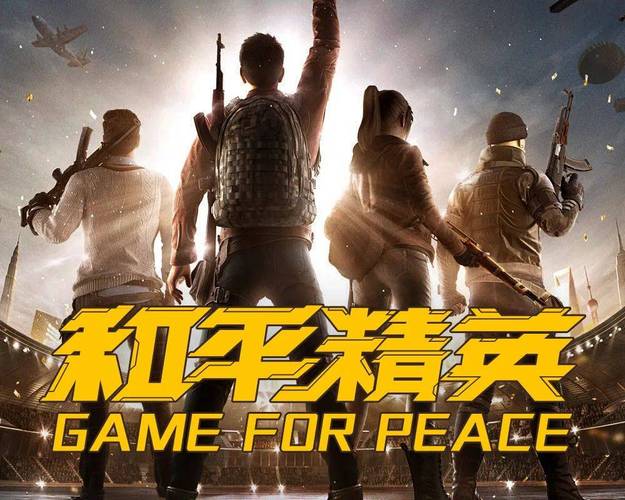 和平精英夜景直装无广告无限金币截图