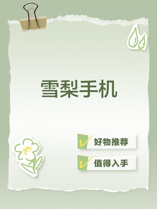 雪梨网APP无限阅读截图