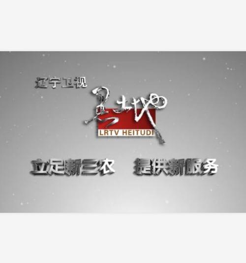 黑土的假期安装截图
