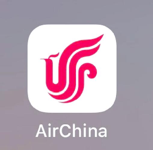 中国国航在线值机挂机辅助黑色老版截图