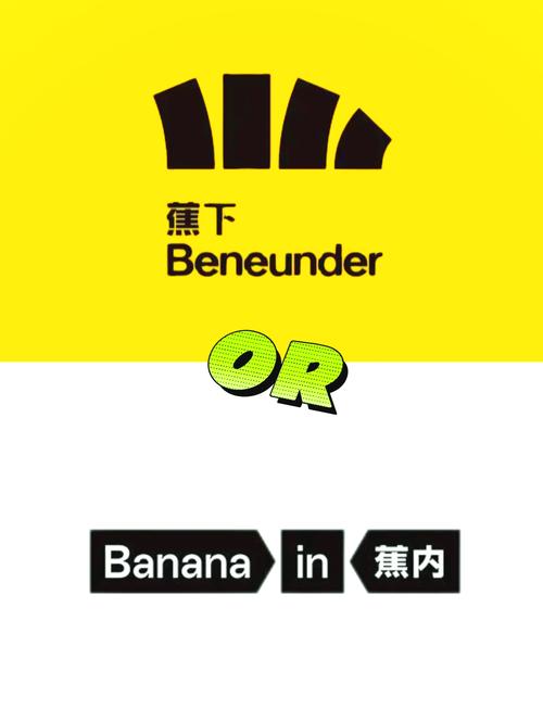 国外香蕉加速器永久免费解锁全部书源截图