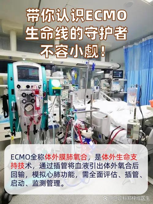 ECmod挂免费版轻量版截图