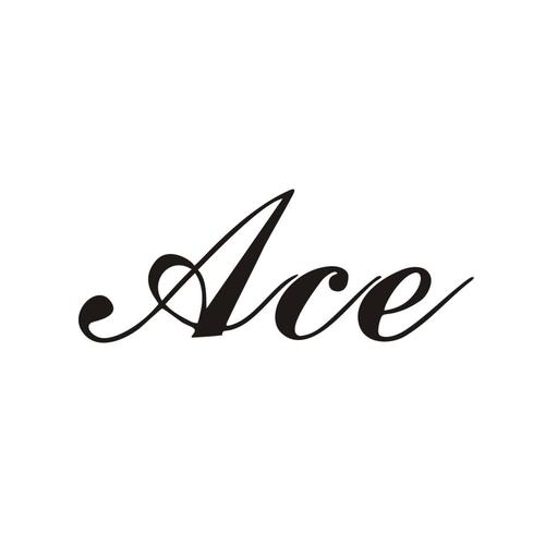 ace官方截图
