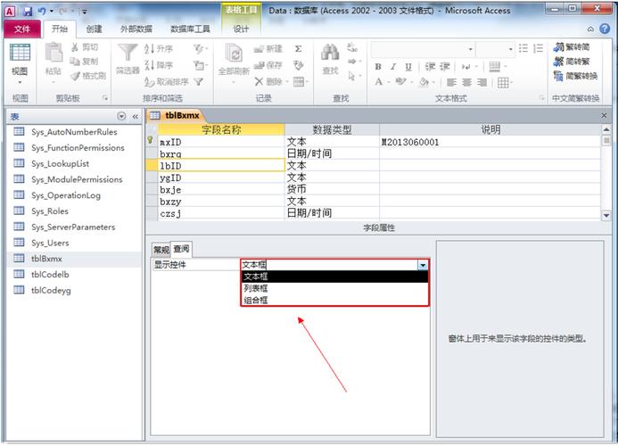 access2007数据库应用截图