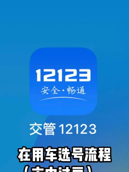 旧版交管12123下载官网图标