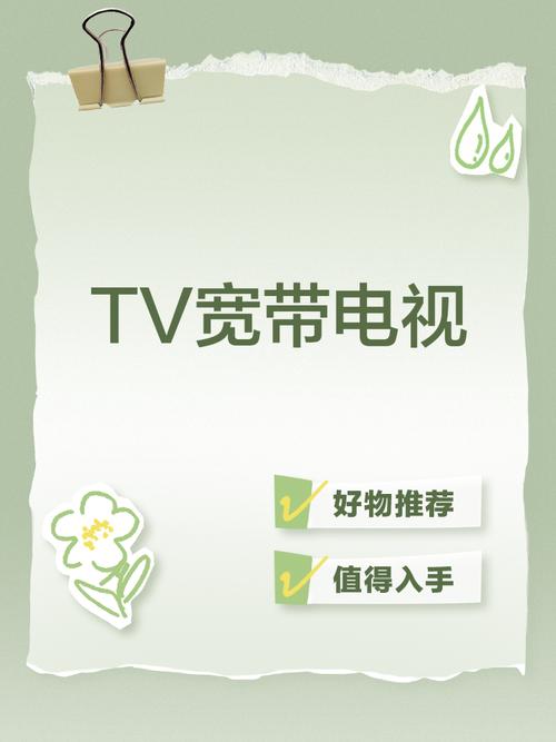 广电宽带电视TV破解版纯净版截图