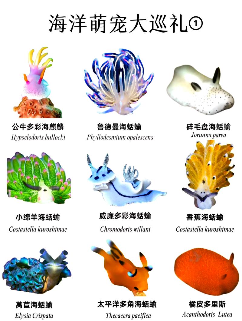海兔快讯截图