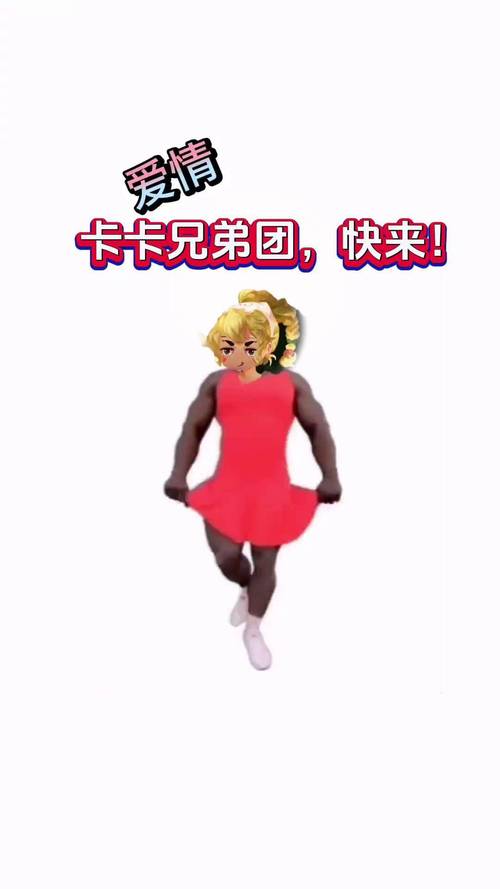 卡卡美化包截图