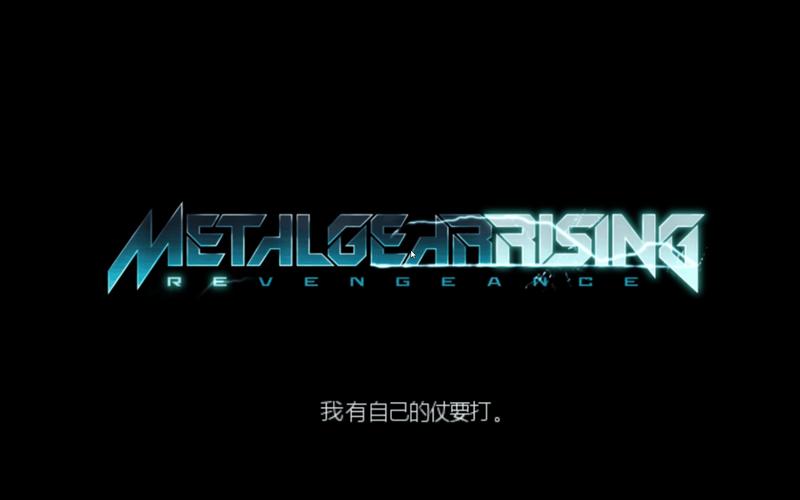 合金装备破解版截图