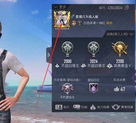 和平精英魔方辅助白色版无删减截图