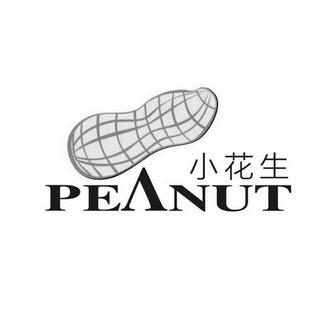 花生壳免费版截图
