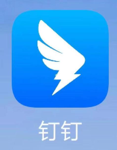 钉钉打卡截图