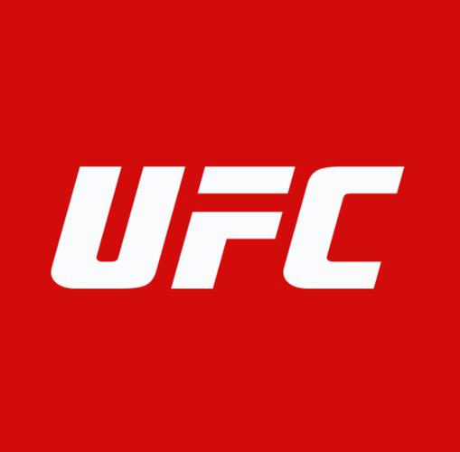 ufcmobile2官方正版免费下载截图