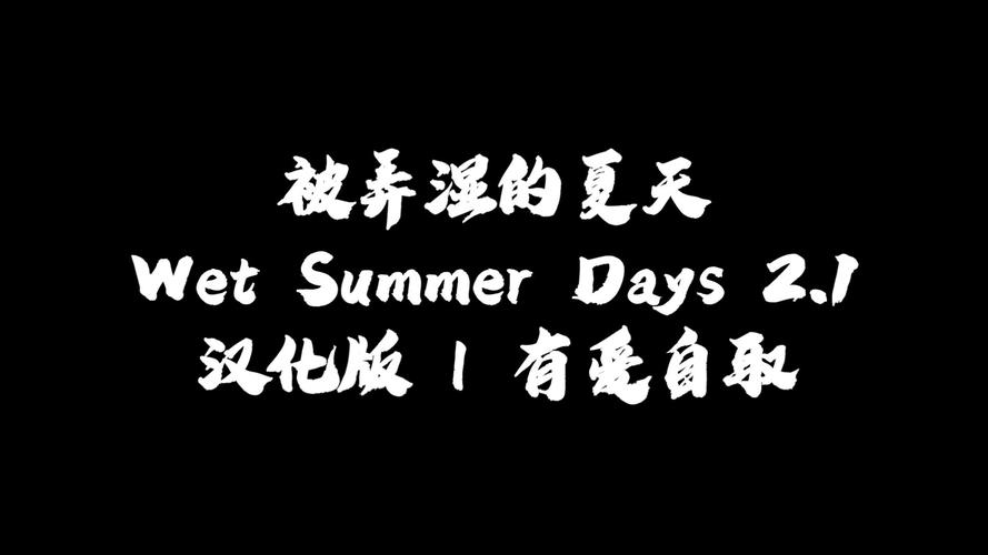 被弄湿的夏天汉化版截图