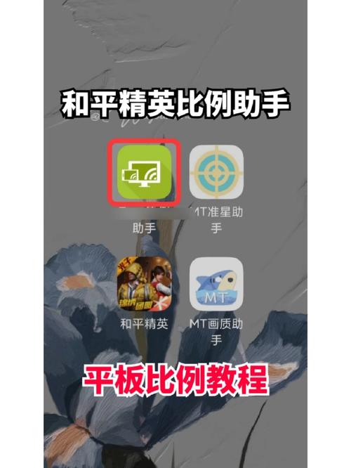 吃鸡平板比例助手提速版截图
