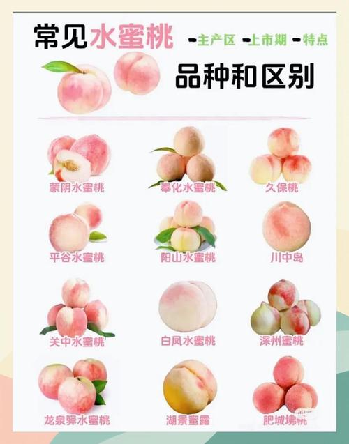 水蜜桃5a禁忌解锁版截图