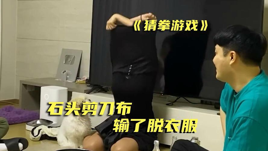 石头剪刀布输看隐私的模拟器手机版截图