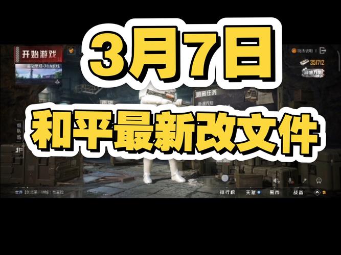 改和平精英文件纯净无广告版截图